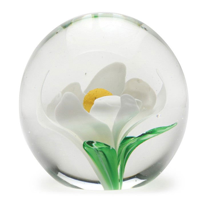 Paperweight Magnolia - Stained Glass Express 